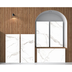 Ցնցուղի պատի վահանակ